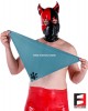 LATEX PUPPY SCARF MINI | CUSTOM COLOR LATEX PUPPY SCARF MINI | CUSTOM COLOR