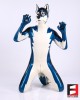 LATEX WOLF PETSUIT BS-PSW01