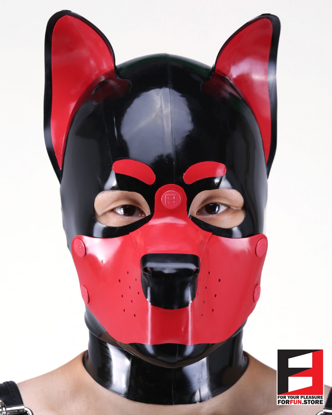Latex Puppy Mask | FORFUN Bangkok