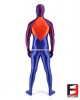 SPANDEX SLICK PLAYSUIT V6