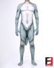 Dog Cartoon Fox Beast PETSUIT D013