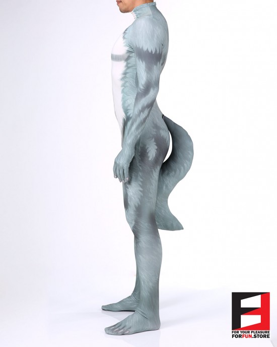 Dog Cartoon Fox Beast PETSUIT D013
