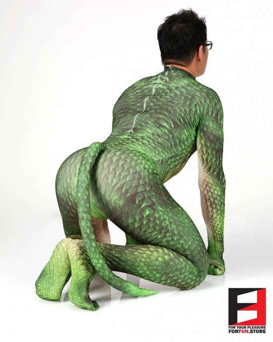 Dragon PETSUIT DG001-GREEN