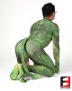 Dragon PETSUIT DG001-GREEN