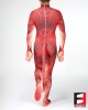 Dragon PETSUIT DG001-RED