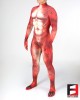 Dragon PETSUIT DG001-RED