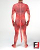 Dragon PETSUIT DG001-RED