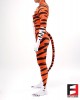 Tiger Cartoon PETSUIT T003-V4