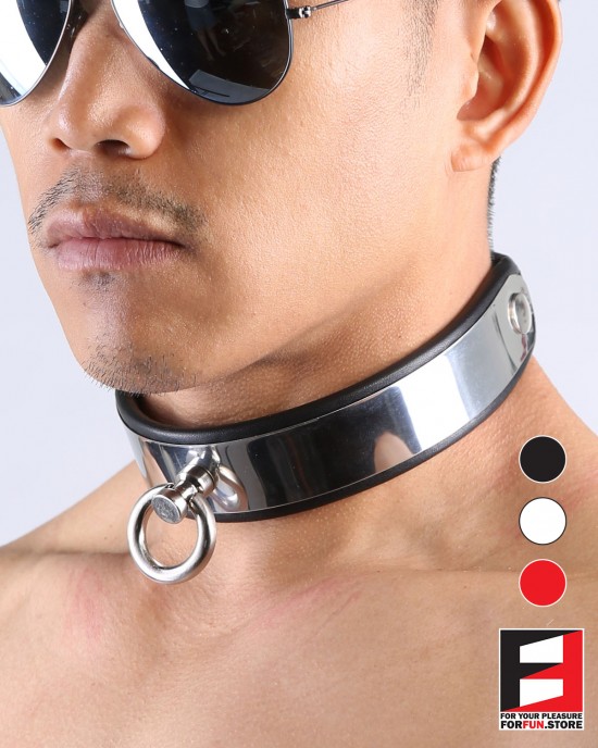 LEATHER WITH STAINLESS STEEL COLLAR CL004A