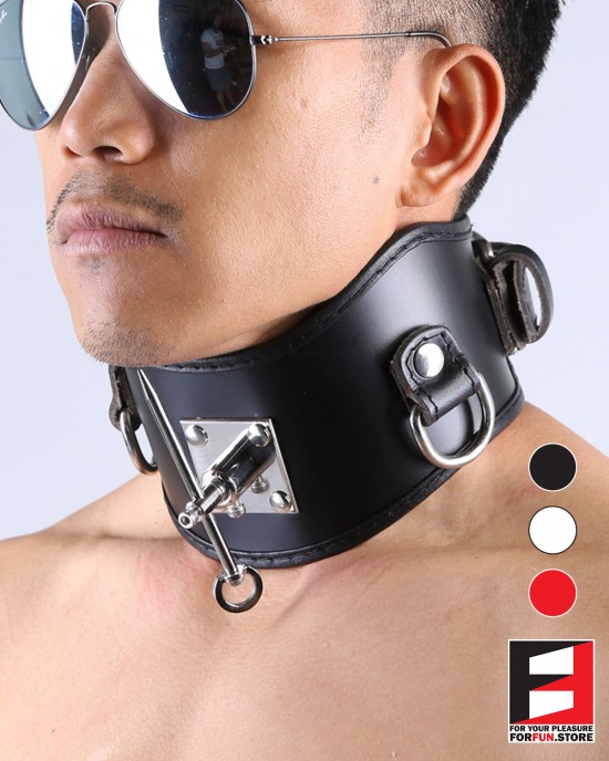 LEATHER POSTURE COLLAR WITH PIN CL011