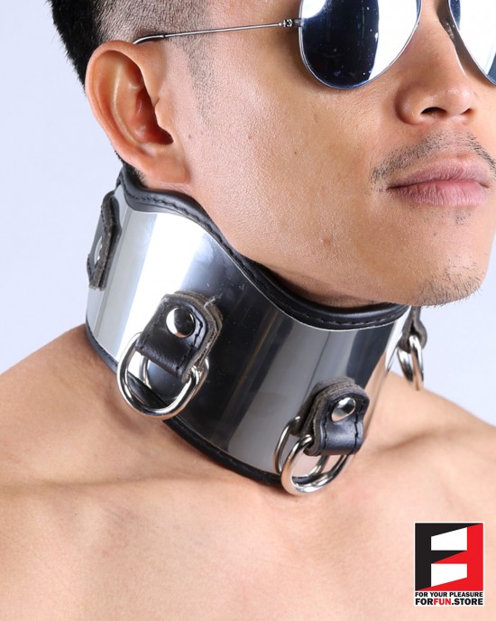 LEATHER WITH STAINLESS STEEL POSTURE COLLAR CL004C
