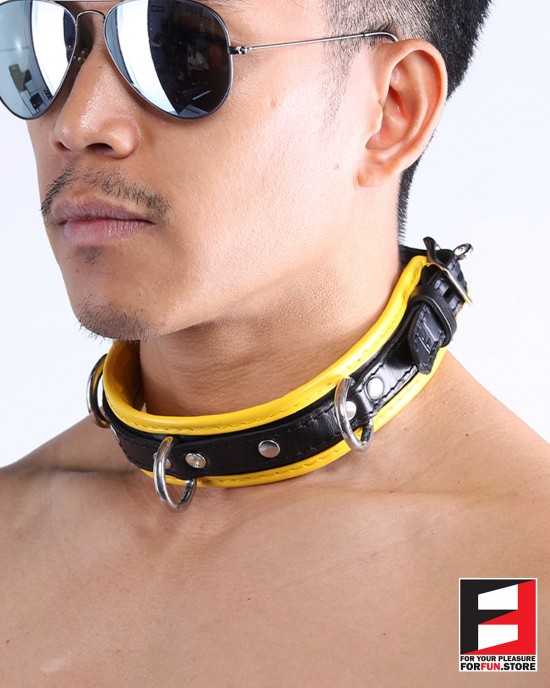 LEATHER BONDAGE COLLAR CL008A