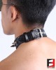 LEATHER RING-CHOKER COLLAR WITH SPIKES CL009C