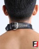 LEATHER RING-CHOKER COLLAR WITH SPIKES CL009C