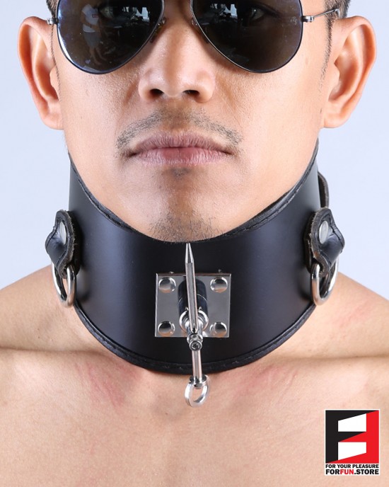 LEATHER POSTURE COLLAR WITH PIN CL011