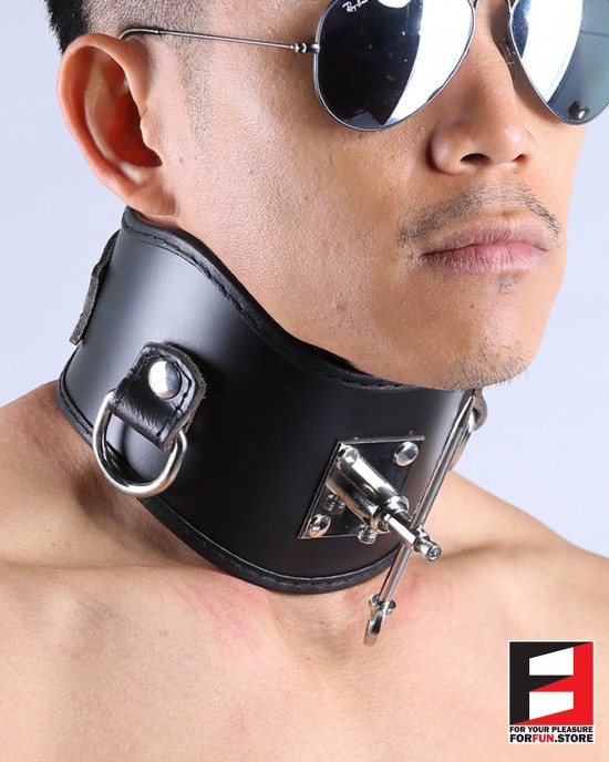 LEATHER POSTURE COLLAR WITH PIN CL011