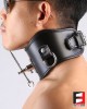 LEATHER POSTURE COLLAR WITH PIN CL011