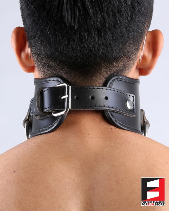 LEATHER POSTURE COLLAR WITH PIN CL011