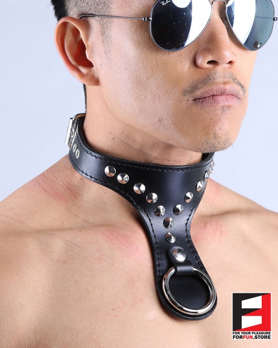 LEATHER O-RING COLLAR CL012A