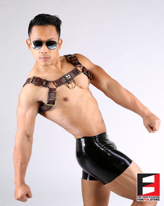 LEATHER BULLDOG CLASSIC HARNESS HS004B