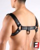 LEATHER BULLDOG PREMIUM HARNESS HS004PB