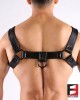 LEATHER BULLDOG PREMIUM HARNESS HS004PB