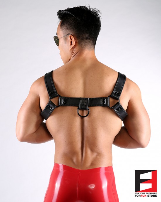 LEATHER BULLDOG PREMIUM HARNESS HS004PB