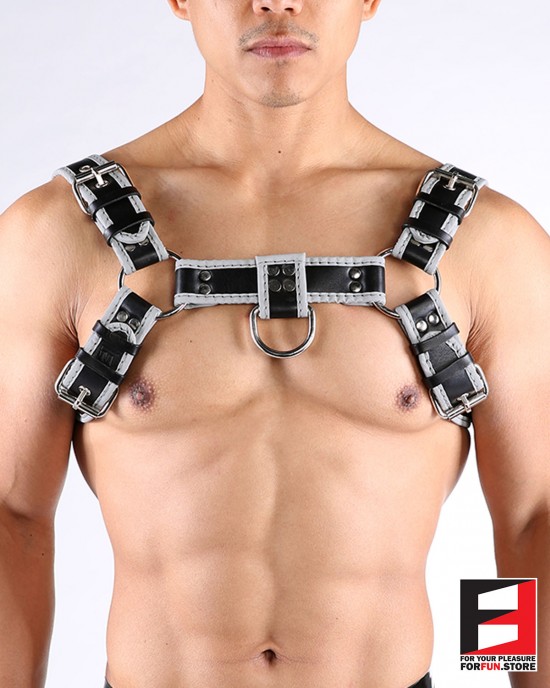 LEATHER BULLDOG REFLECTION HARNESS HS004RE