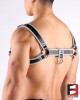 LEATHER BULLDOG REFLECTION HARNESS HS004RE