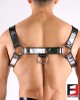 LEATHER BULLDOG STAINLESS STEEL HARNESS HS004S