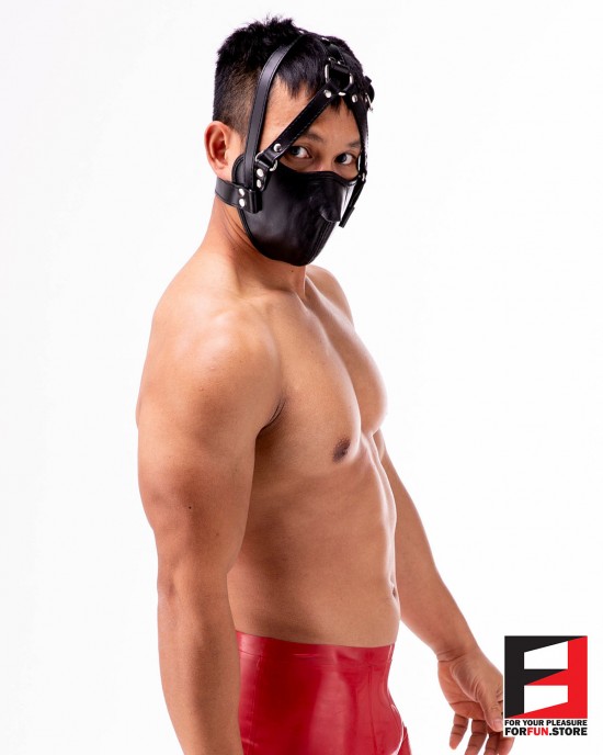 MUZZLE HARNESS HOOD MA009