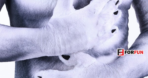 Fur Petsuit Collection | FORFUN Bangkok