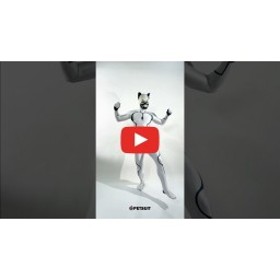 CUSTOM DESIGN PETSUIT